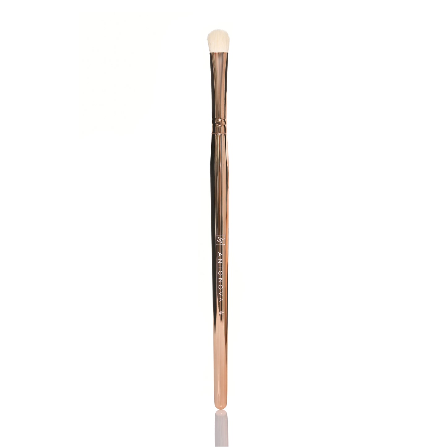 Witch Brush - 4E